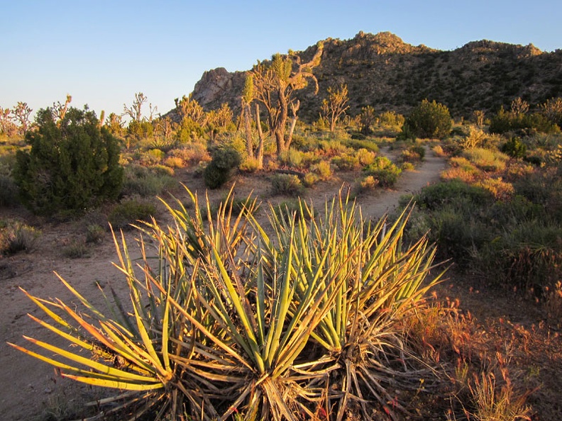 We turn around for a moment to look back toward Teutonia Peak