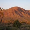 Kessler Peak soaks up as much of the reddish light as it can