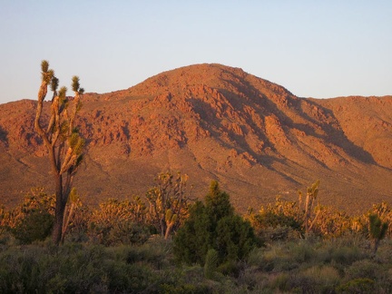 Kessler Peak soaks up as much of the reddish light as it can