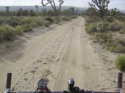 The first mile or so of Death Valley Mine Road is rideable despite some sand on the road because it's a bit downhill