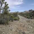  It's not only sand here: rocky patches on Death Valley Mine Road provide quite a contrast to the slippery sandy segments