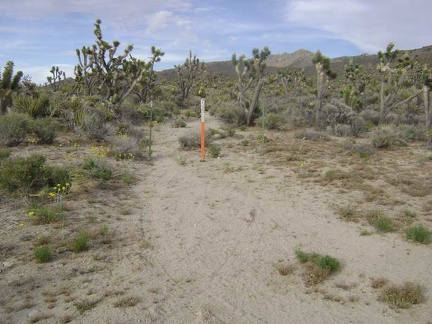 I pass an old road that is now closed by Wilderness barriers