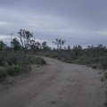 Dusk at the top of Cima Road