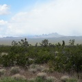 From Nevada 164, I zoom in across the valley and see some rain clouds over the Castle Peaks, my destination today