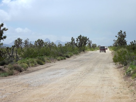 I pass the stationary 4WD folks and begin my ride up Walking Box Ranch Road; they soon depart too and pass me, one by one