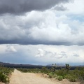 I'm often looking back behind me toward Nevada 164 and the Highland Range to take in the cloud formations