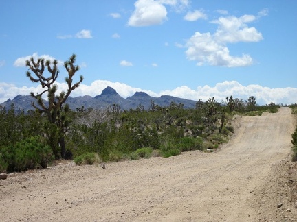 Though mostly gradual, Walking Box Ranch Road does have a few short rolling hills