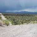 Looking back on Walking Box Ranch Road, it looks stormy over toward the McCullough Mountains where I camped 2 days ago