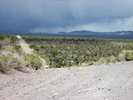 Looking back on Walking Box Ranch Road, it looks stormy over toward the McCullough Mountains where I camped 2 days ago