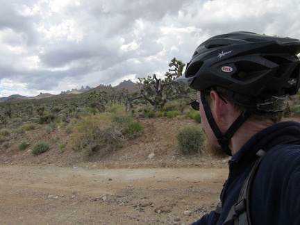 I'm feeling happy now that I'm seeing views of the Castle Peaks, Mojave National Preserve