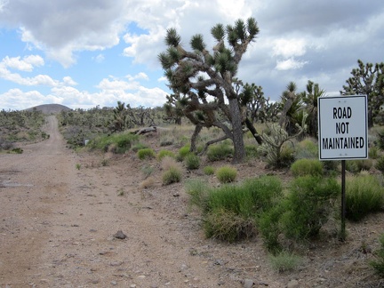 Walking Box Ranch Road is a "Road Not Maintained" on the California side of the border