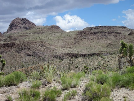 I pass the Castle Mountains area, just outside Mojave National Preserve, and remind myself to visit this area in the future