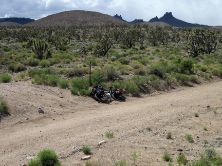 I'm going to leave Walking Box Ranch Road here and follow this smaller road at my left toward Castle Peaks