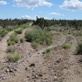 I reach a brief detour down and around a washed-out section of this road and it occurs to me that this is an old railway grade
