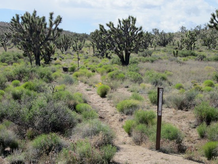 I pass an old road leading toward the Castle Peaks area, now closed by Wilderness markers