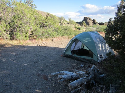 I set up camp next to a juniper tree, hoping that it might provide a bit of a wind break should I need it
