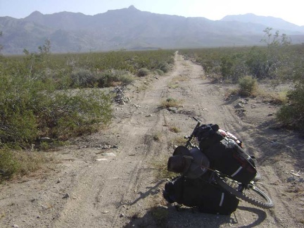 The road to Coyote Springs is a bit rough, but not too bad compared to some other old desert roads