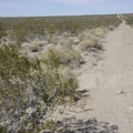 Looking at the final few hundred feet of elevation gain in front of me on the main Jackass Canyon Road climb