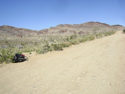 As I pedal my way gently up Ivanpah Road on the compromised 10-ton bike, I stop briefly at the little road to Bathtub Spring
