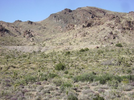 Another point of interest to my left on this stretch of Ivanpah Road is an old railway grade, abandoned long ago