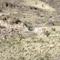 Some of the old railway grade near Ivanpah Road has been washed out