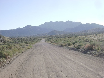 Once over "the summit," Ivanpah Road heads straight toward the New York Mountains