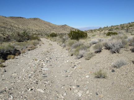 Packing up done! I ride the 3/4 down the bumpy hill to Ivanpah Road