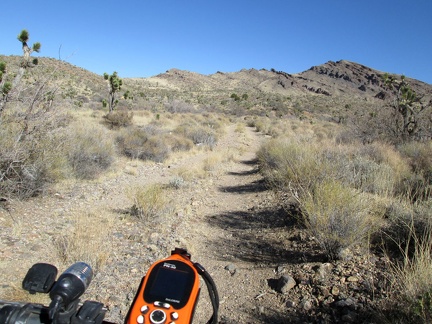 I ride a short distance up the road to Bathtub Spring, stash the 10-ton bike in some bushes and hike up to the spring