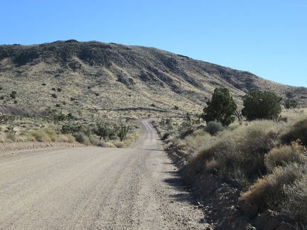 Back on Ivanpah Road, I'm at about 4600 feet elevation, almost at my high point for the day