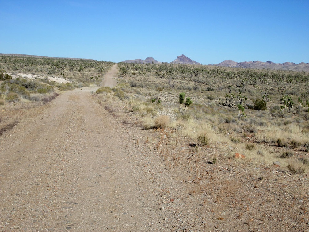This part of Hart Mine Road follows an old railway grade that dates back to the old mining days