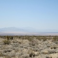 Here in the Ivanpah area, I'm at about 3500 feet elevation, about 1000 feet above where I started down at Primm