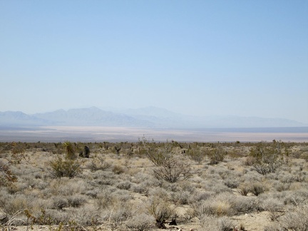 Here in the Ivanpah area, I'm at about 3500 feet elevation, about 1000 feet above where I started down at Primm