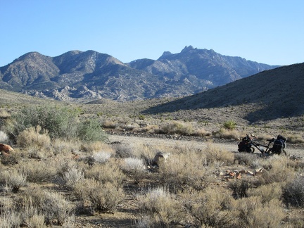 Somewhat rejuvenated from my break in the shade, I return to the 10-ton bike to continue the ride (or walk) up Ivanpah Road