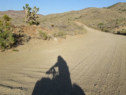 As I ride (and sometimes walk) the 10-ton bike up Ivanpah Road, I notice the light somehow seems a bit weird