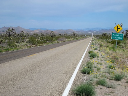 I've just coasted blissfully down 6 miles of Nevada 164 and reach unpaved Walking Box Ranch Road, where I'll turn off