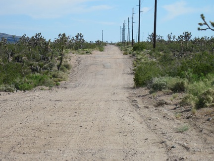 Walking Box Ranch Road is mostly straight and slightly uphill, but occasional humps over desert topography add interest