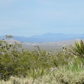 Views down to the town of Searchlight, Nevada open up occasionally along Walking Box Ranch Road