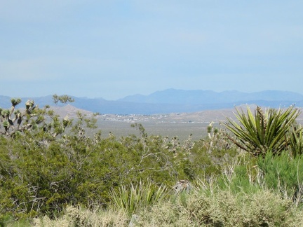 Views down to the town of Searchlight, Nevada open up occasionally along Walking Box Ranch Road