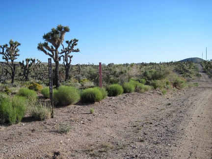 I pass an extremely modest post on Walking Box Ranch Road which marks my re-entry into California from Nevada