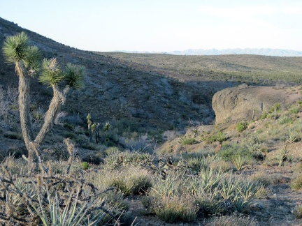 I go for a short walk to check out the area at the top of Malpais Spring Road; this will be home for a night or two