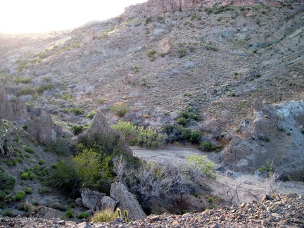 I look westward up the gorge toward Malpais Spring and get excited about tomorrow's hike up into that area