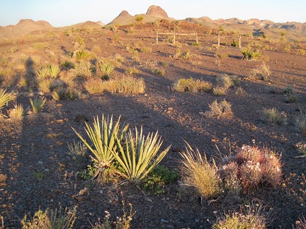 The plateau at the top of Malpais Spring Road and a few old stretches of range fence receive the orange glow of end-of-day sun