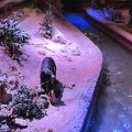 Also inside the Primm shopping-casino complex is a fake stream with fake wildlife