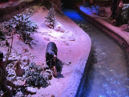 Also inside the Primm shopping-casino complex is a fake stream with fake wildlife