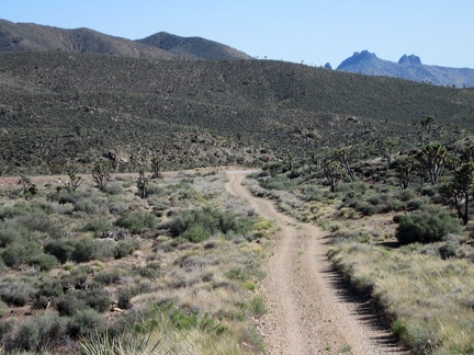 After a short distance, I turn back for my last view of the Castle Peaks before I disappear into the McCullough Mountains