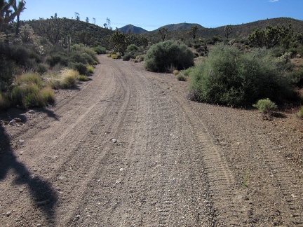 My nice firm road surface transforms into shallow "kitty litter" as the road passes through a wash area