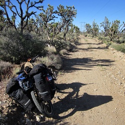 Spring 2011: Mojave National Preserve and area bicycle camping