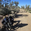 I pause on one of the many level stretches (in my direction of travel) along the McCullough Mountains powerline road