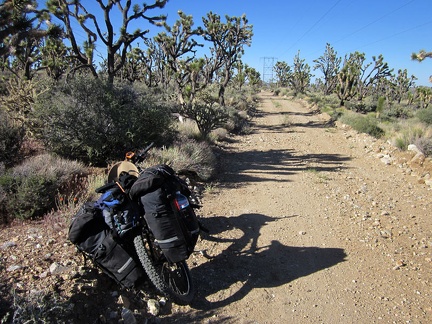 I pause on one of the many level stretches (in my direction of travel) along the McCullough Mountains powerline road