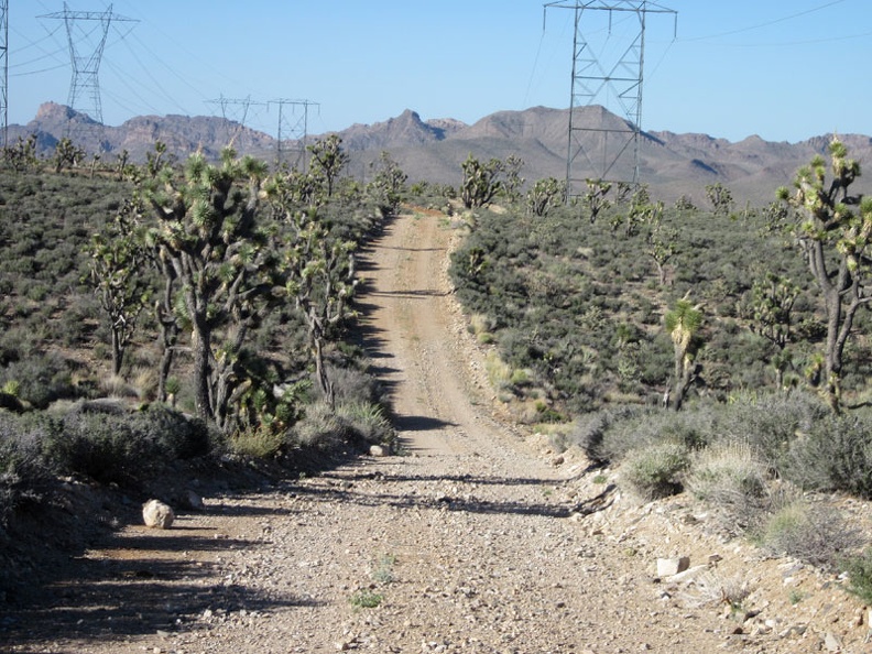 1610-powerline-road.jpg